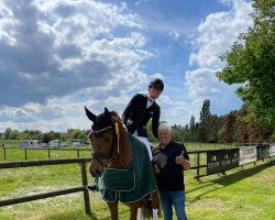 dressage horse Florian Guldbjerg (Danish Warmblood, 2018, from Blue Hors Fifty Cent)