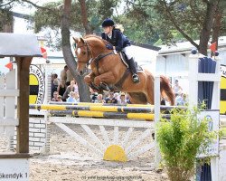 jumper Artimosk (KWPN (Royal Dutch Sporthorse), 2005, from Gentleman)