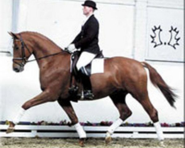 stallion Pret a Porter (Trakehner, 1998, from Ivernel)