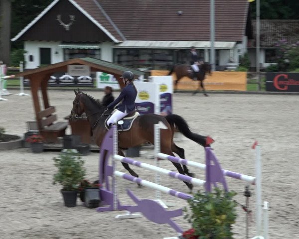 Reitturnier Klein Roscharden 2022
