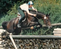 broodmare La Native xx (Thoroughbred, 1983, from Native Guile xx)