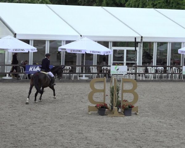 Reitturnier Klein Roscharden 2022