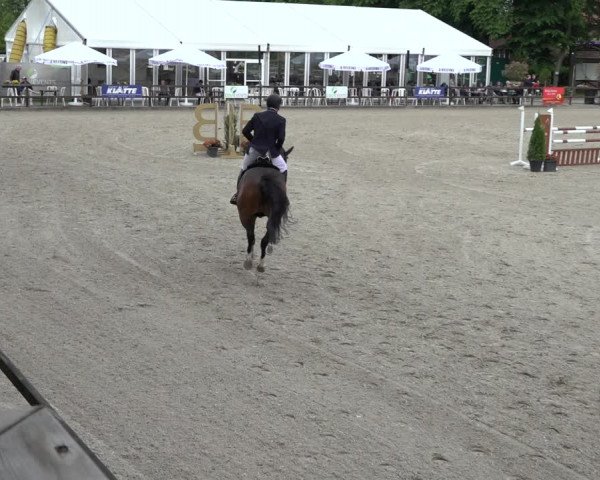 Reitturnier Klein Roscharden 2022