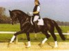 stallion Pretty Dancer (Trakehner, 1996, from Mackensen)