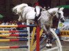stallion Machandel (Trakehner, 1989, from Mandant)