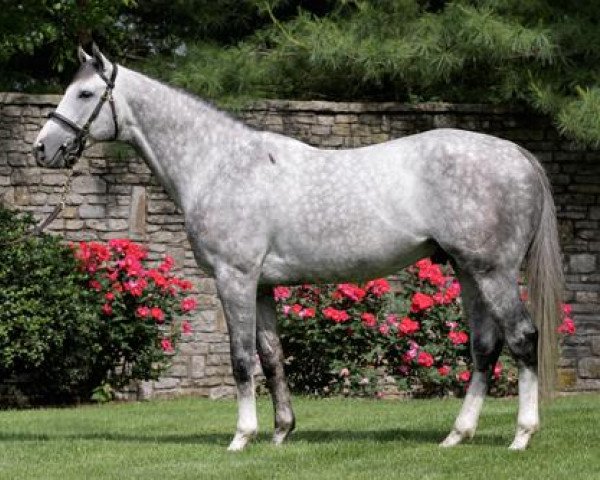 stallion Dunkirk xx (Thoroughbred, 2006, from Unbridled's Song xx)