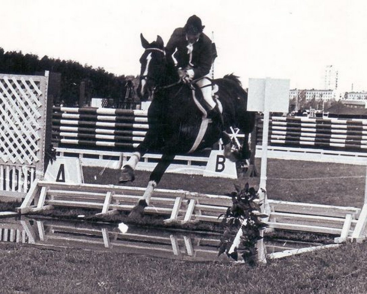 Deckhengst Espadron 40 (Russisch Trakehner, 1971, von Pamir)