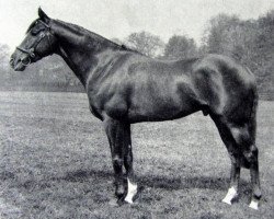 stallion Double Jump xx (Thoroughbred, 1962, from Rustam xx)