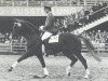 stallion Leibwaechter I (Hanoverian, 1973, from Lugano I)