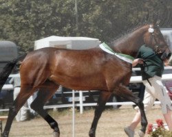 broodmare Rubinia B (Rhinelander, 2003, from Rubin Star N)