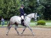 dressage horse Wiesenfee 13 (Holsteiner, 2006, from Calato)