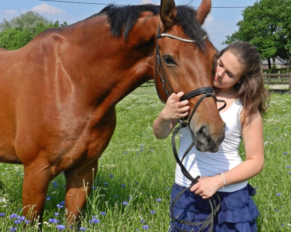 dressage horse Richetto (Westphalian, 2006, from Riccio)