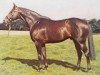 stallion Wolver Hollow xx (Thoroughbred, 1964, from Sovereign Path xx)