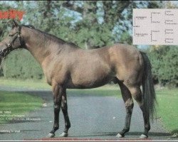 stallion Rarity xx (Thoroughbred, 1967, from Hethersett xx)