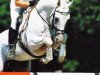 stallion Newcomer (Hanoverian, 1991, from Neuquen xx)