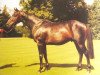 stallion Beldale Flutter xx (Thoroughbred, 1978, from Accipiter xx)