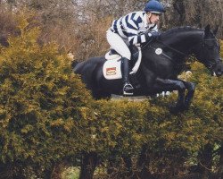 dressage horse Chant Noir (Trakehner, 2000, from Buddenbrock)