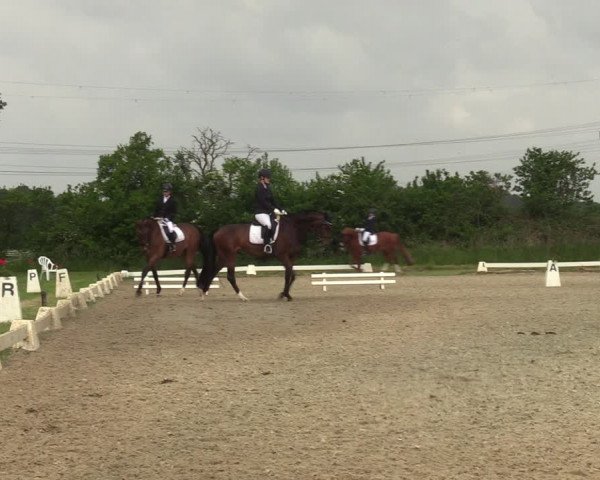 Reitturnier Münster, St. Georg | Amateurtag 2022