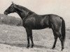 stallion Alarich xx (Thoroughbred, 1957, from Mangon xx)