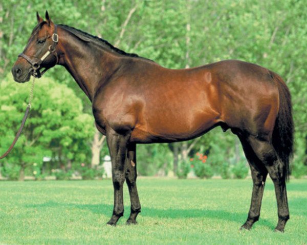 stallion Canny Lad xx (Thoroughbred, 1987, from Bletchingly xx)