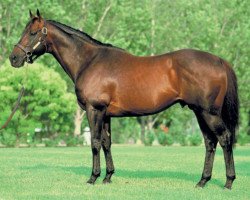 stallion Canny Lad xx (Thoroughbred, 1987, from Bletchingly xx)