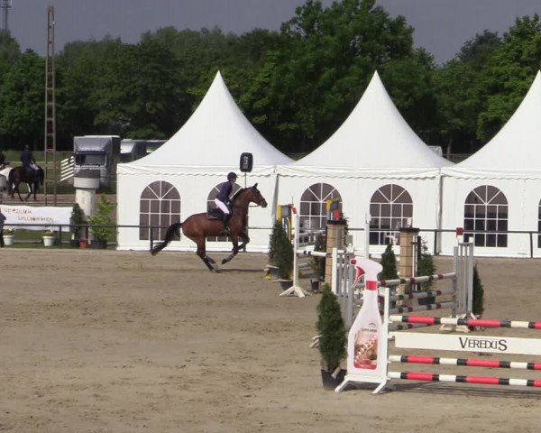 Reitturnier Hamm-Rhynern 2022