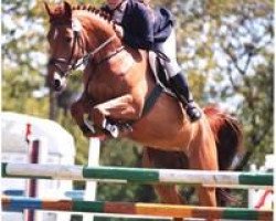 broodmare Ribana S (Hanoverian, 1995, from Ramiro's Bube)