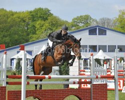 jumper Penny Lee H (Holsteiner, 2000, from Lordanos)