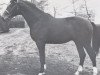 stallion Rinaldo (Holsteiner, 1970, from Ramiro Z)