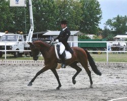 dressage horse DE Louisa (Oldenburg, 2002, from Dormello)