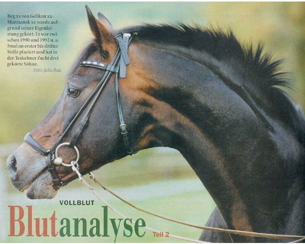 Pferd Beg xx (Englisches Vollblut, 1982, von Helikon xx)