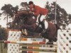 stallion San Carlos (Hanoverian, 1982, from San Fernando)