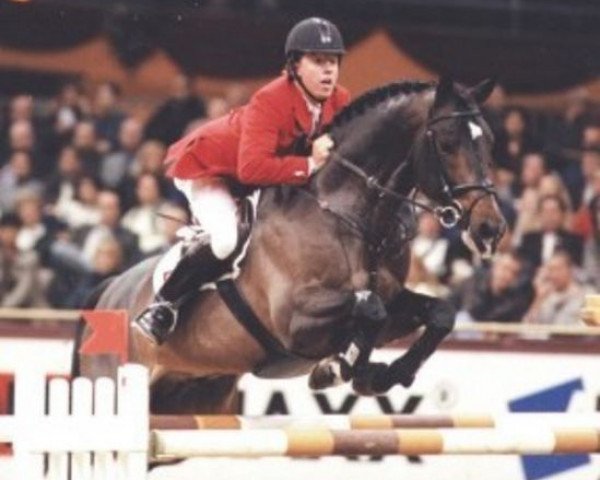 stallion Cleverboy (Württemberger, 1991, from Come On)
