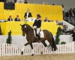 dressage horse Svea (Hanoverian, 2009, from Sandro Hit)