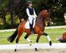 dressage horse Brioso AM (Oldenburg, 2014, from Bretton Woods)