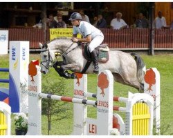 jumper Borneo (Oldenburg show jumper, 2006, from Balou du Rouet)