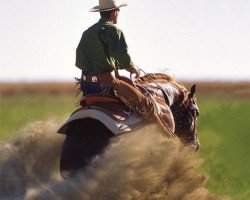 Deckhengst Reds Gonna Rein (Quarter Horse, 2000, von Great Red Pine)