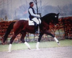 broodmare Lasalle 29 (Rhinelander, 1998, from Lanciano)