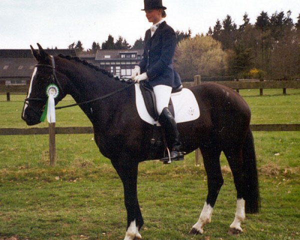 broodmare Greta (Württemberger, 1999, from Gachino)