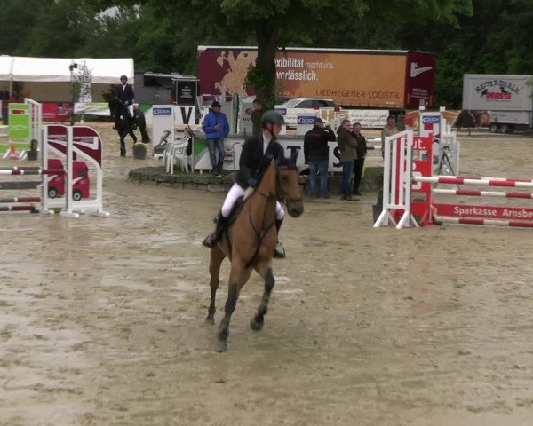 Reitturnier Hellefeld 2022