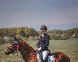 broodmare Laurie (Hanoverian, 2006, from Lauries Crusador xx)