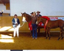 Pferd Smokitopine (Quarter Horse, 2009, von Hot Smokin Chex)