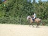 dressage horse Senhor Carlos (Spanish Sport Horse, 2007)