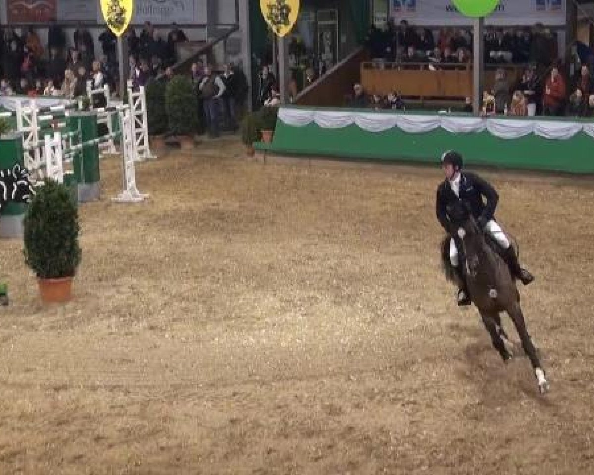 jumper Go For Me R (Hanoverian, 2004, from Graf Grannus)