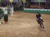 jumper Go For Me R (Hanoverian, 2004, from Graf Grannus)