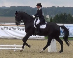 dressage horse Fleur Noire 3 (Hanoverian, 2002, from Fabriano)