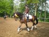 dressage horse Carinha (Hanoverian, 2004, from Competent)