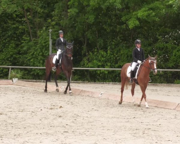 Reitturnier Leingarten 2022