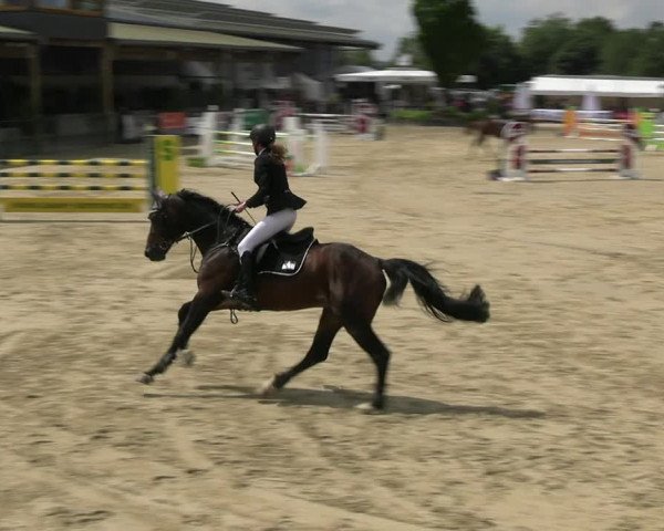 Reitturnier Hellefeld 2022