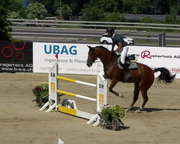 Reitturnier Wädenswil 2022